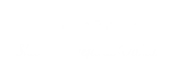 شایگان تجارت وحید